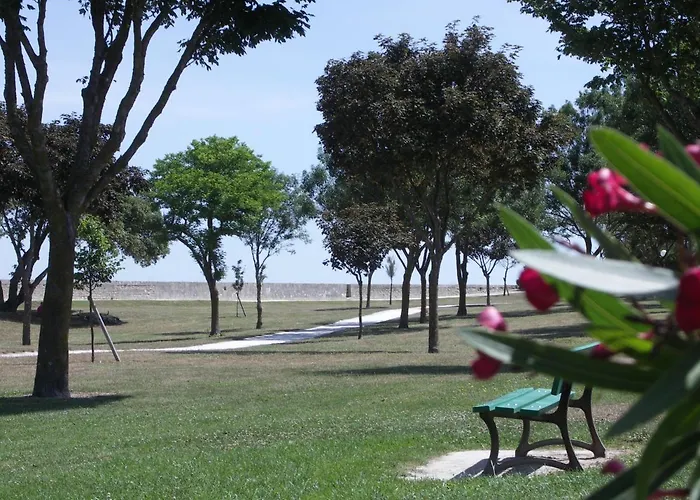 Appartement Palombe Dans Résidence Avec Piscine *